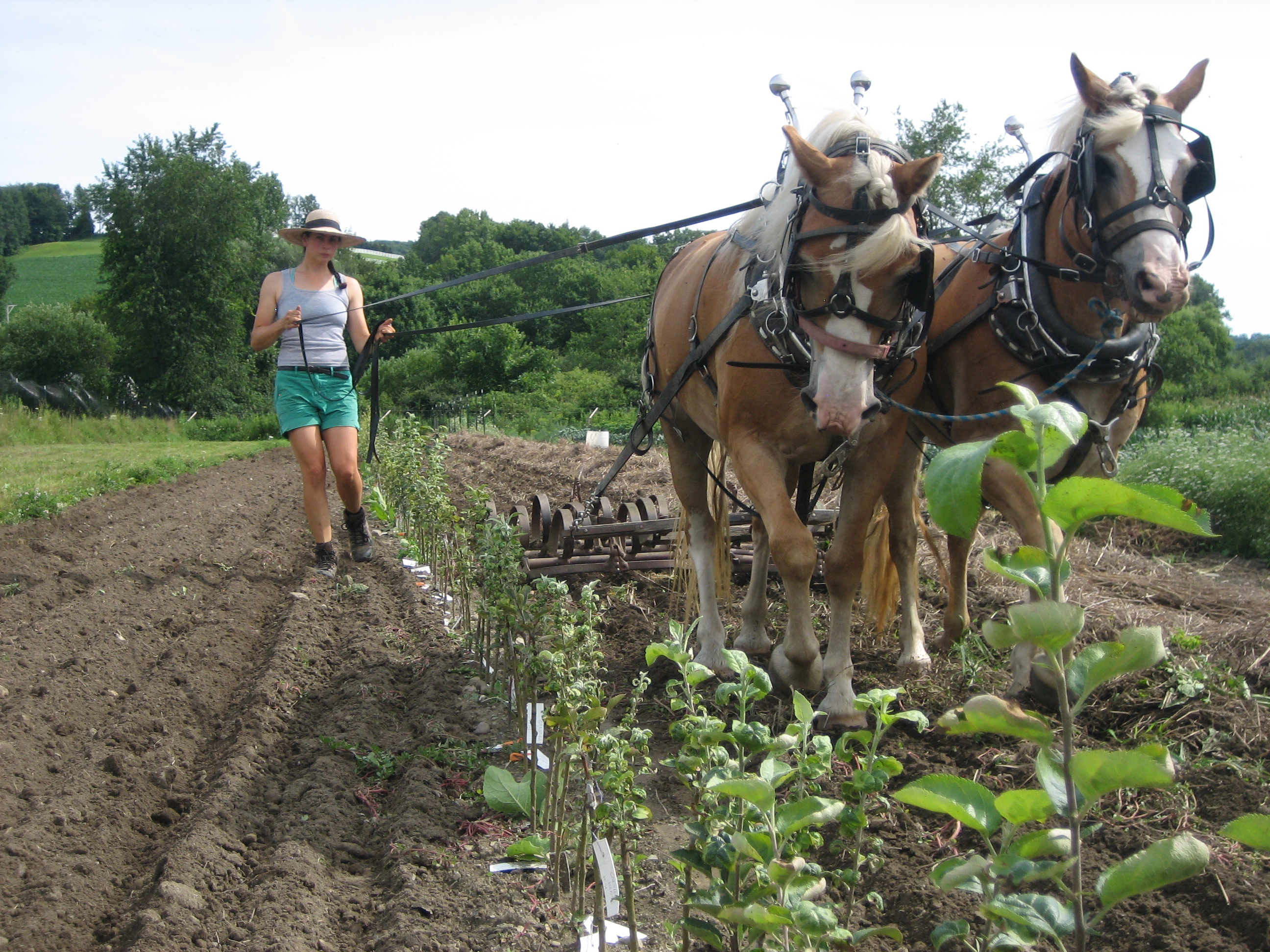 nursery photo for biz cards